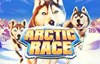 arctic race slot logo