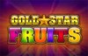 gold star fruits slot logo