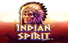 indian spirit deluxe slot logo