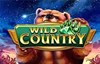 wild country slot logo