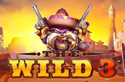 the wild 3 slot logo