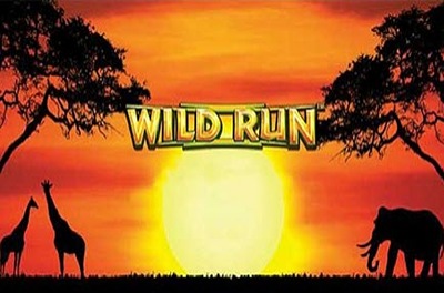 wild run slot logo