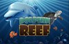 dolphin reef slot
