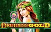 druidess gold слот лого