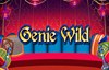 genie wild slot
