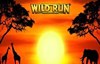 wild run слот лого