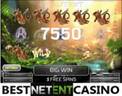 Evolution Video Slot Big Win