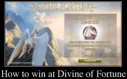 How to win at Divine of Fortune slot