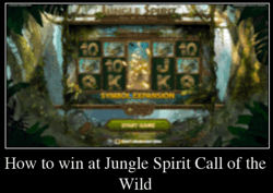 How to win at Jungle Spirit Call of the Wild