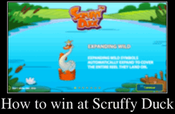 How to win at Scruffy Duck
