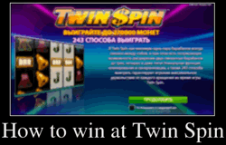 How to win at Twin Spin