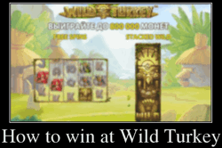 How to win at Wild Turkey