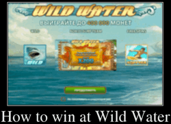 How to win at Wild Water