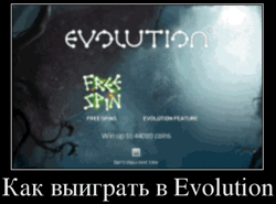Как выиграть в Evolution