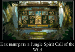 Как выиграть в Jungle Spirit Call of the Wild