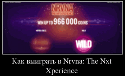 Как выиграть в Nrvna: The Nxt Xperience