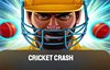 cricket crash game slot logo