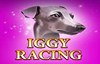 iggy racing slot logo