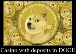 Кращі онлайн-казино з депозитами в DOGE