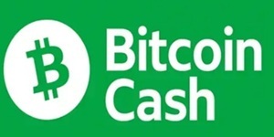 bitcoin cashs logo