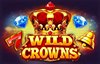 wild crowns slot logo