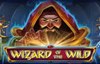wizard of the wild slot logo