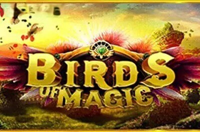 birds of magic logo