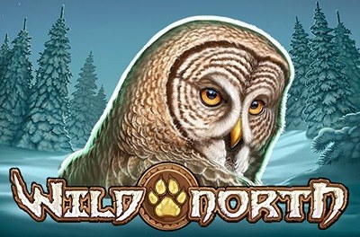 wild north slot logo