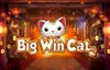 big win cat слот лого
