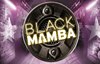 black mamba слот лого