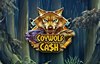coywolf cash слот лого