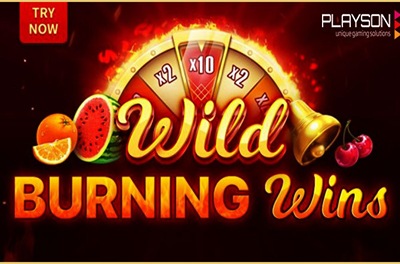 wild burning wins slot logo
