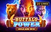 buffalo power hold and win slot logo