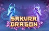sakura dragon slot logo