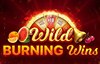 wild burning wins slot logo