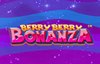 berry berry bonanza slot logo
