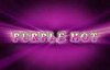 purple hot slot logo