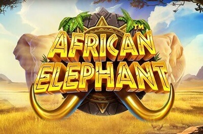 african elephant slot logo