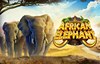 african elephant слот лого