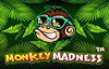 monkey madness слот лого