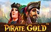 pirate gold slot logo