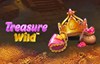 treasure wild slot logo