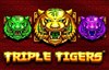 triple tigers slot logo