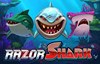 razor shark slot logo