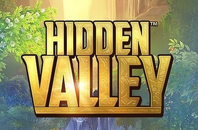 hidden valley slot logo