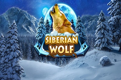 siberian wolf slot logo