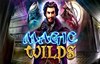 magic wilds slot logo