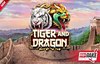 tiger and dragon slot logo