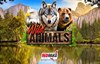 wild animals slot logo