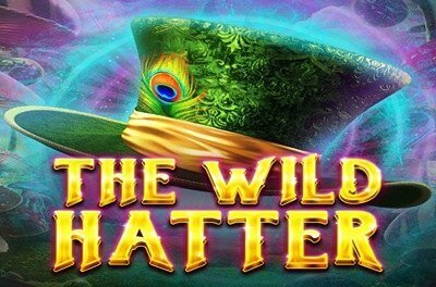 the wild hatter slot logo